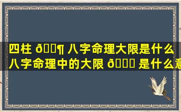 四柱 🐶 八字命理大限是什么「八字命理中的大限 🐅 是什么意思」